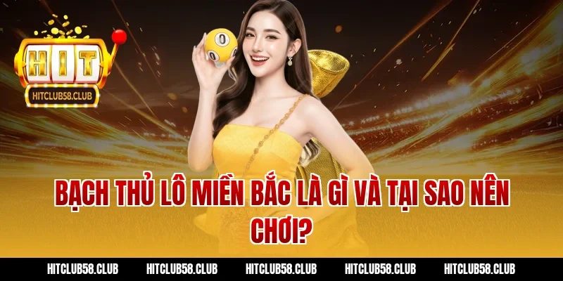 Bạch thủ lô miền bắc là gì và tại sao nên chơi?