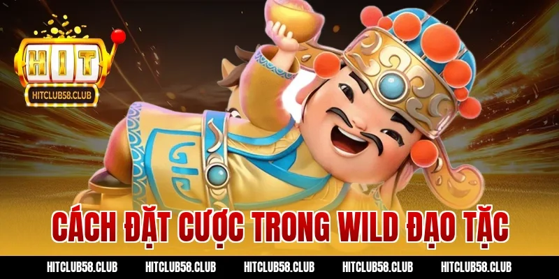 Cách đặt cược trong wild đạo tặc