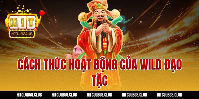 Cách thức hoạt động của wild đạo tặc