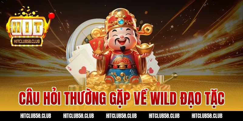 Câu hỏi thường gặp về wild đạo tặc
