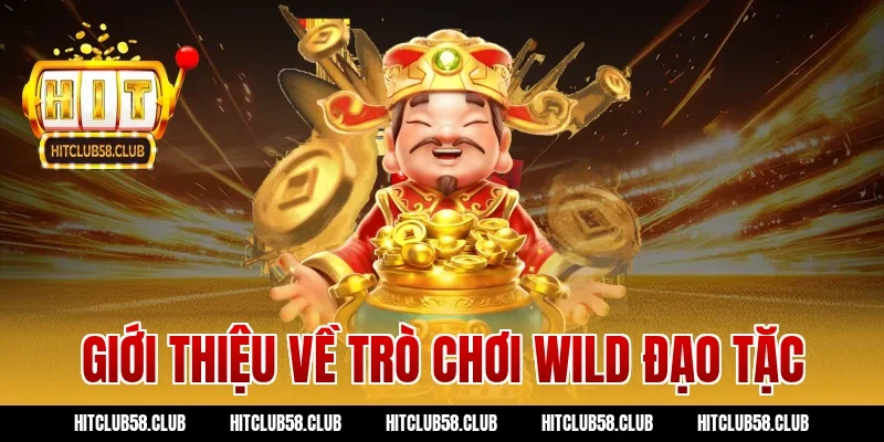 Giới thiệu về trò chơi wild đạo tặc