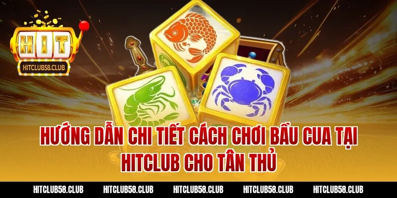 Hướng dẫn chi tiết cách chơi bầu cua tại Hitclub cho tân thủ