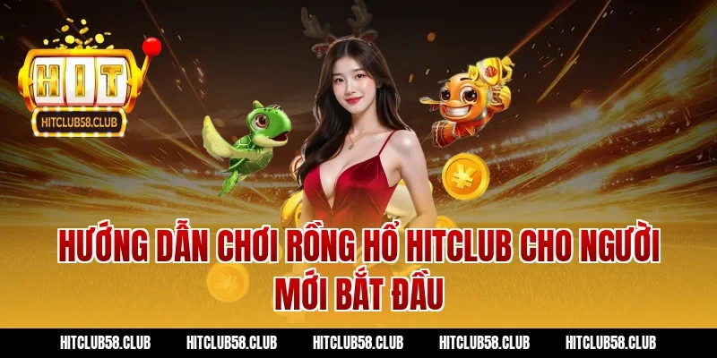 Hướng Dẫn Chơi Rồng Hổ Hitclub Cho Người Mới Bắt Đầu