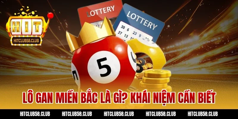 Lô gan miền bắc là gì? Khái niệm cần biết