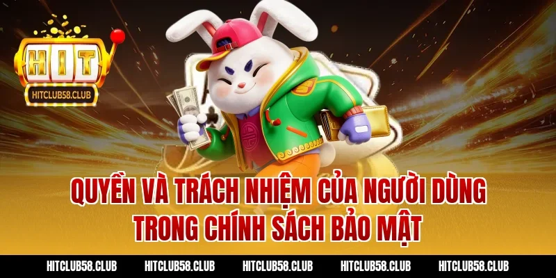 Quyền và trách nhiệm của người dùng trong chính sách bảo mật