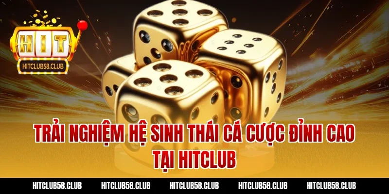 Trải nghiệm hệ sinh thái cá cược đỉnh cao tại Hitclub